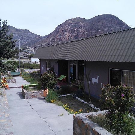 Hotel Las Vicunas Putre Buitenkant foto