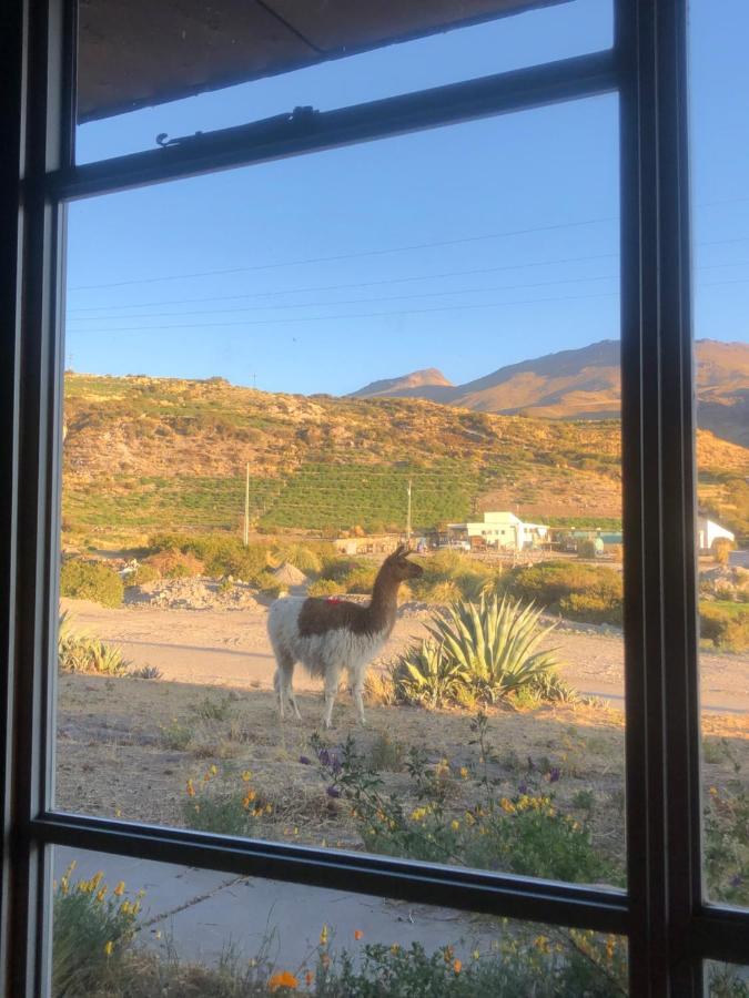 Hotel Las Vicunas Putre Buitenkant foto