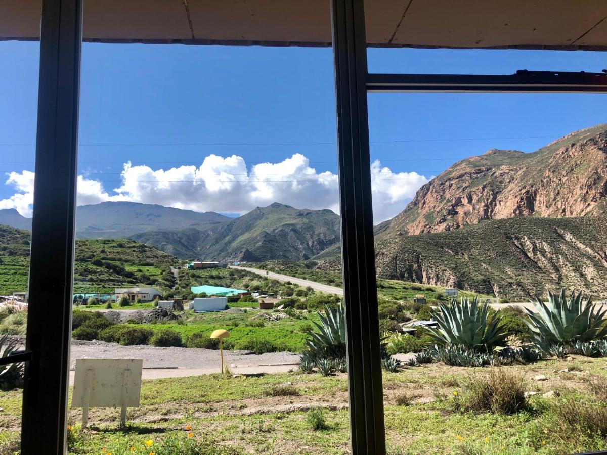 Hotel Las Vicunas Putre Buitenkant foto