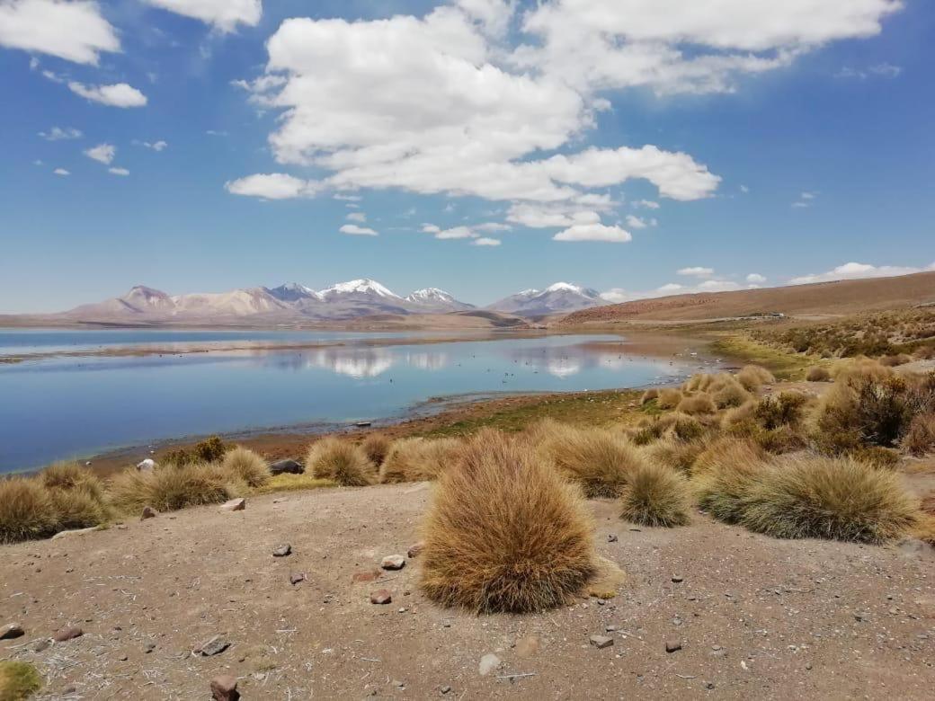 Hotel Las Vicunas Putre Buitenkant foto