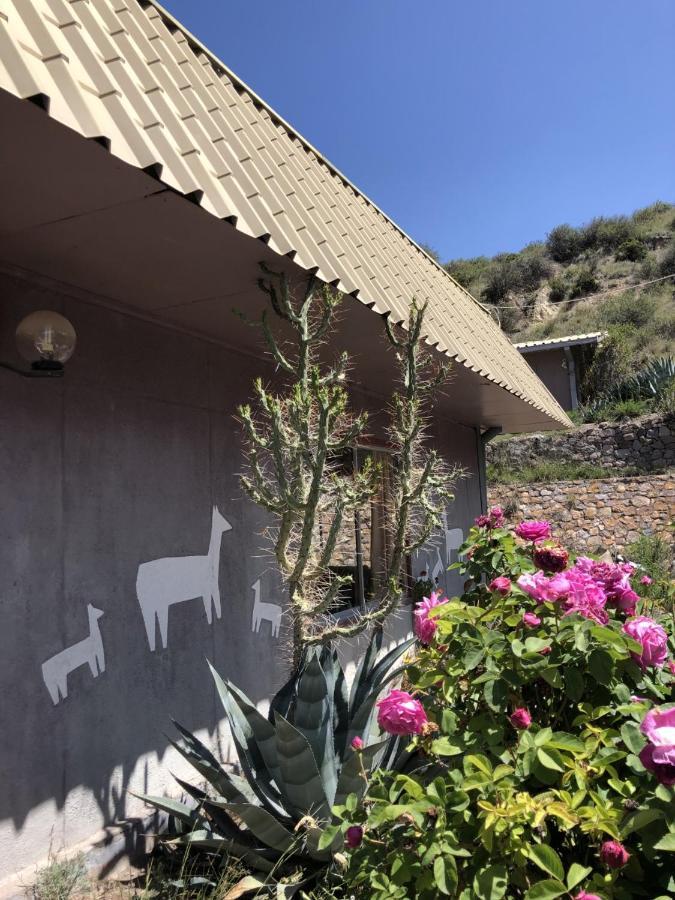 Hotel Las Vicunas Putre Buitenkant foto