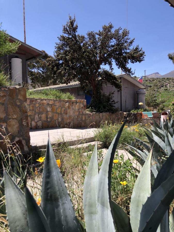 Hotel Las Vicunas Putre Buitenkant foto