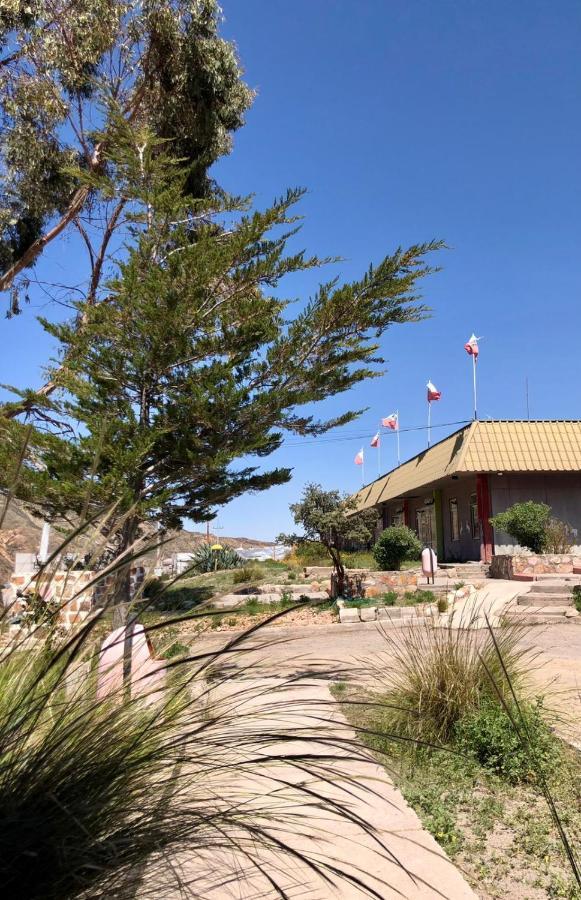 Hotel Las Vicunas Putre Buitenkant foto