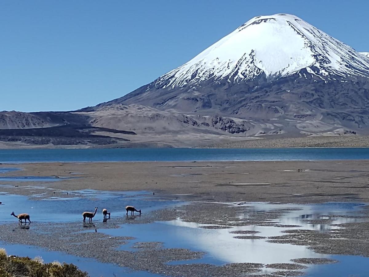 Hotel Las Vicunas Putre Buitenkant foto