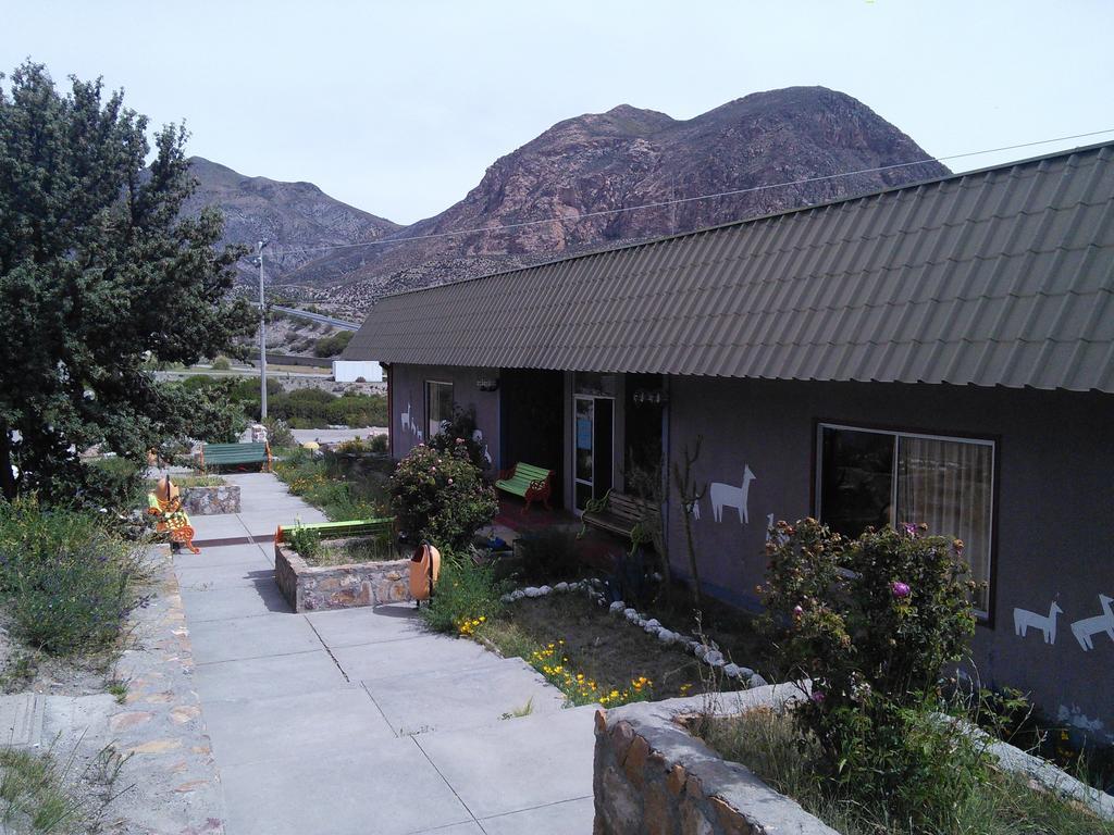 Hotel Las Vicunas Putre Buitenkant foto